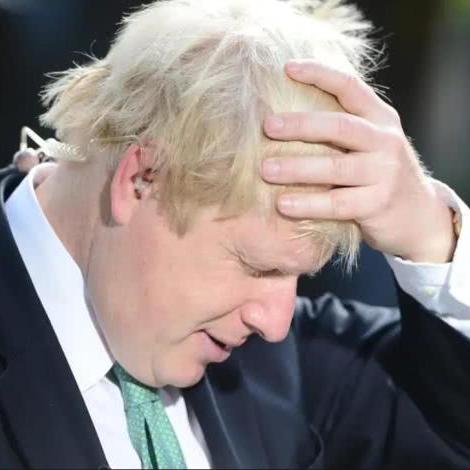 (夏洛特的cg)夏洛特的餐桌中文版下载地址及使用方法分享给您