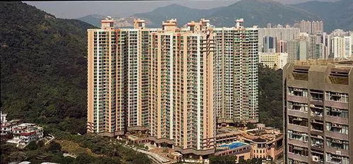 (魔兽世界枯萎凋零)如何获取枯萎凋零雕文？技巧分享及详细步骤揭秘