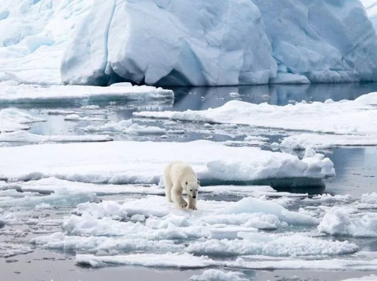 (寒霜冰原攻略)探秘北极冰原:守卫者寒霜半岛的位置、生态环境及其保护意义 (寒霜冰原攻略)探秘北极冰原:守卫者寒霜半岛的位置、生态环境及其保护意义