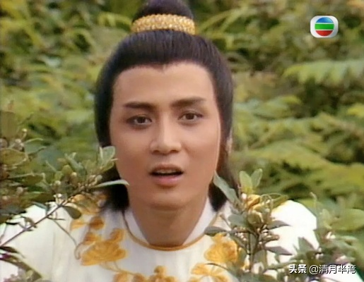 (碧血青霜)探秘碧血青仙百度百科：深度解读这位传奇仙人的传奇故事