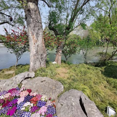 (烟笼长安歌曲mv)长安烟笼,古城记忆飘香,歌曲传唱千年风韵绵长 (烟笼长安歌曲mv)长安烟笼,古城记忆飘香,歌曲传唱千年风韵绵长