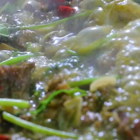 (梦幻动物小镇)探寻微信小程序梦幻动物城菜肴配方，打造美味独特的料理佳肴